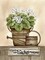 Home Sweet Home Geraniums Poster Print by Linda Spivey - Item # VARPDXLS1674
